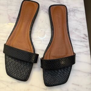 CULT of COQUETTE ELLE BLACK VEGAN SNAKE FLAT SLIDE